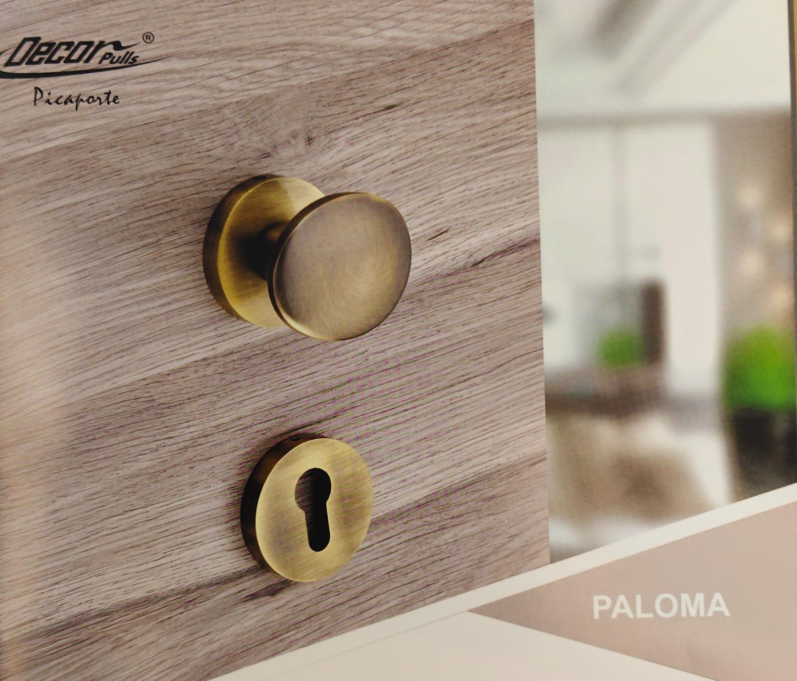 DECOR PALOMA DM 041